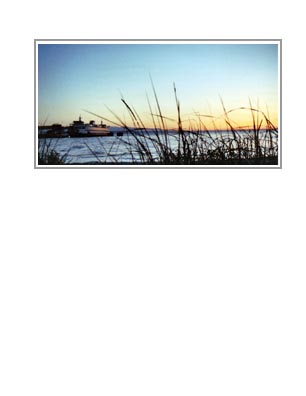 Edmonds Ferry: Sunset Grass