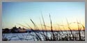 Ferry: Sunset through Beach Grass